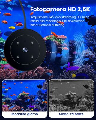 ALIMENTADOR AUTOMATICO PECES CON CAMARA Y CONTROL