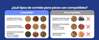 ALIMENTADOR AUTOMATICO PECES CON CAMARA Y CONTROL