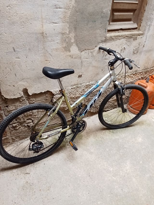 Bicicleta de montaña