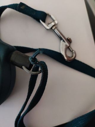 Guinzaglio ferplast  cani gatti Flippy