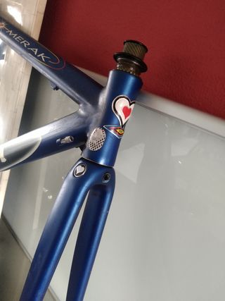 Cuadro De Rosa  Merak carretera
