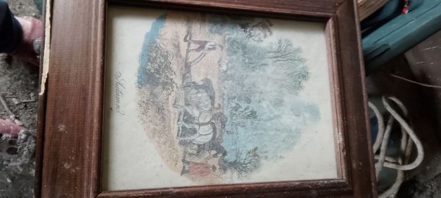 Quadri " le stagioni" le quattro stagioni