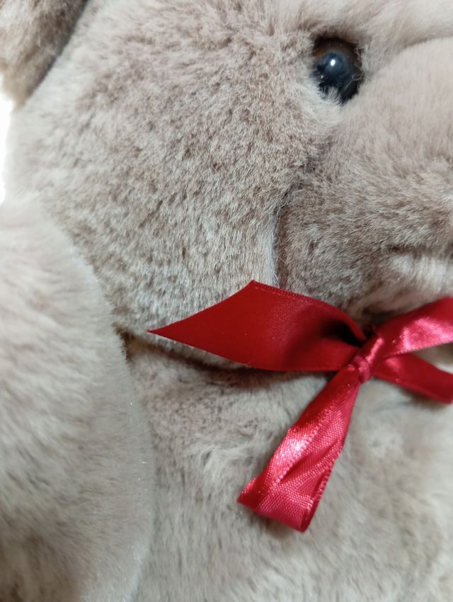 Osito de peluche gris