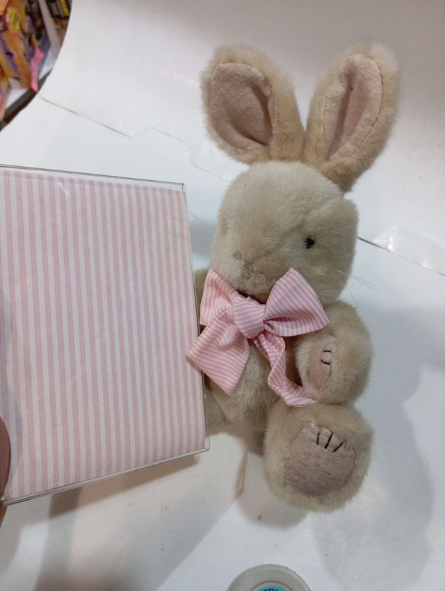 Conejito de peluche con foto