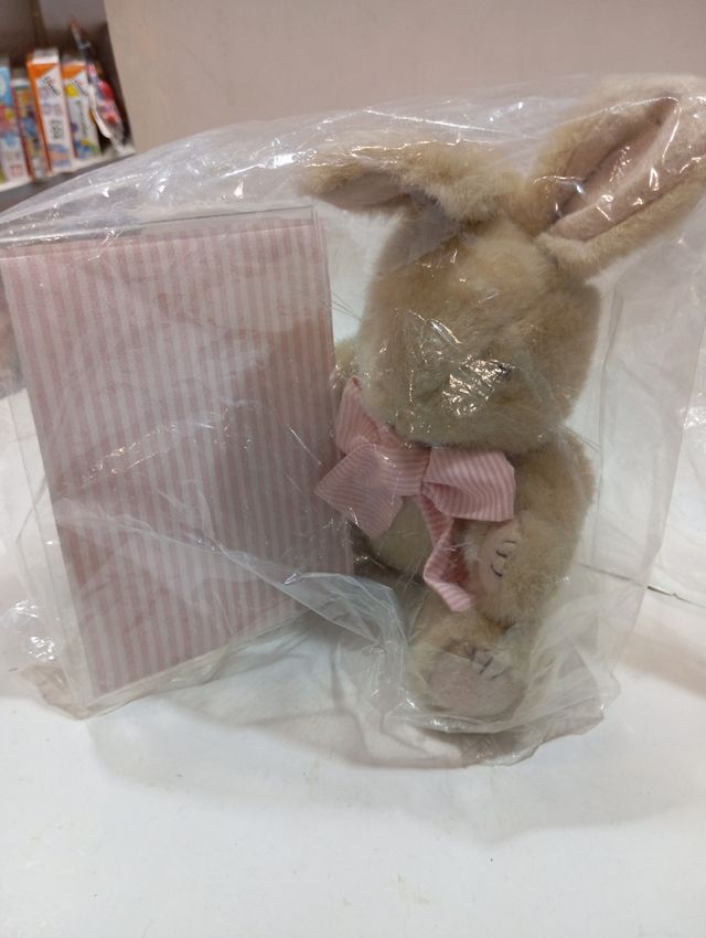 Conejito de peluche con foto