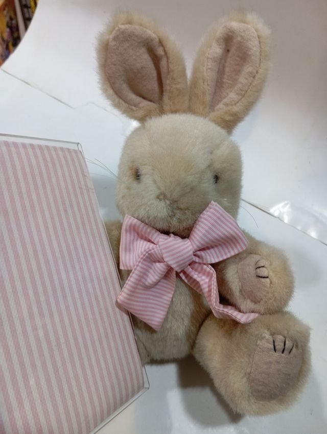 Conejito de peluche con foto