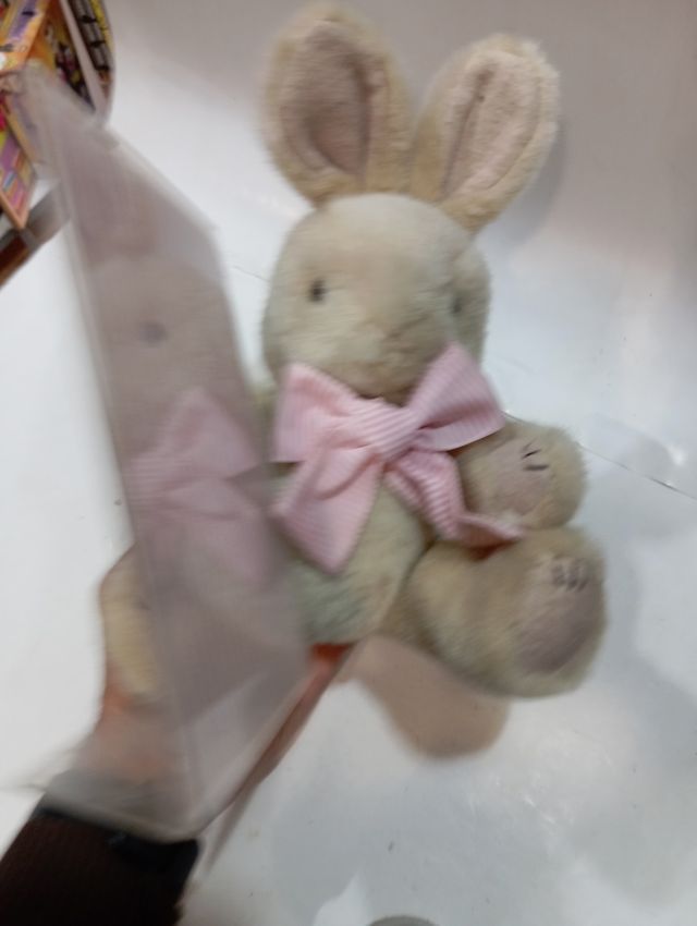 Conejito de peluche con foto