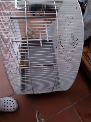 Jaula para pajaros