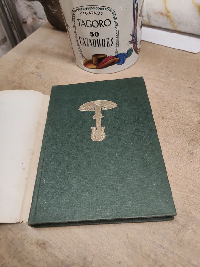 Setas guia para el aficionado