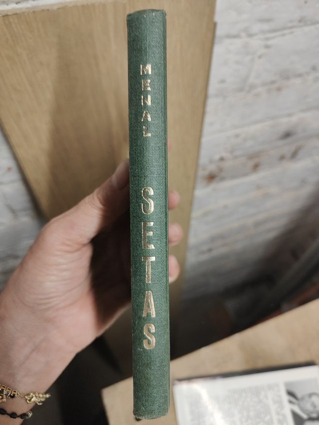 Setas guia para el aficionado