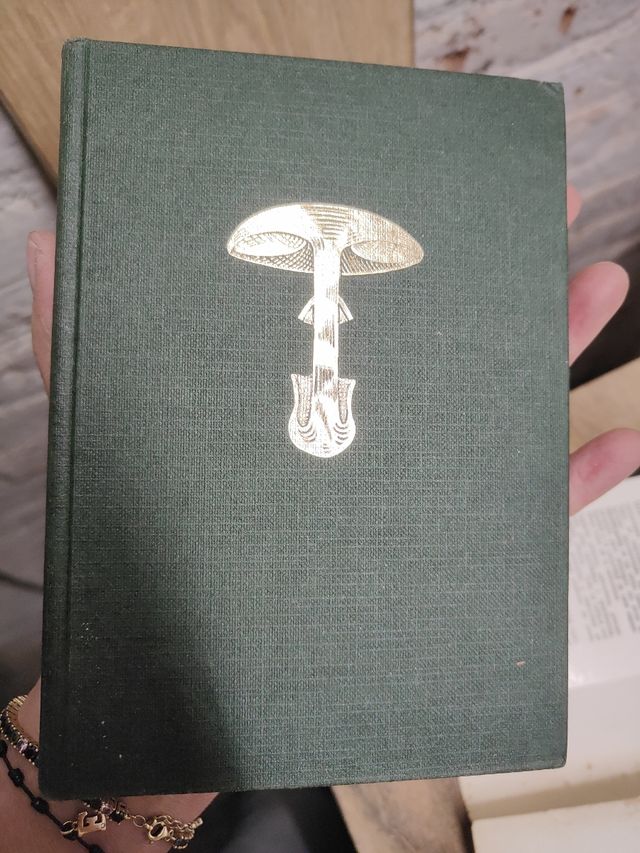 Setas guia para el aficionado