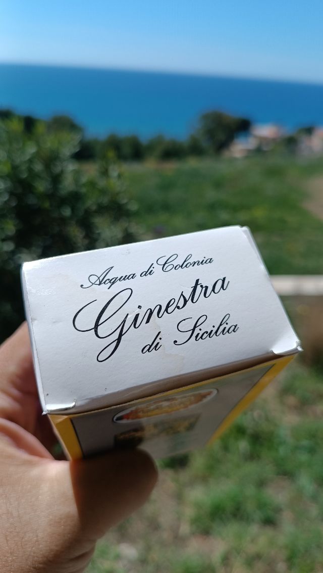 🌼 Ginestra di Sicilia – La Barbera 🌿