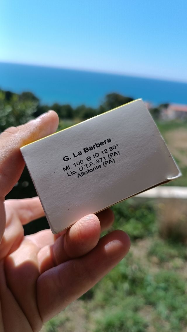 🌼 Ginestra di Sicilia – La Barbera 🌿