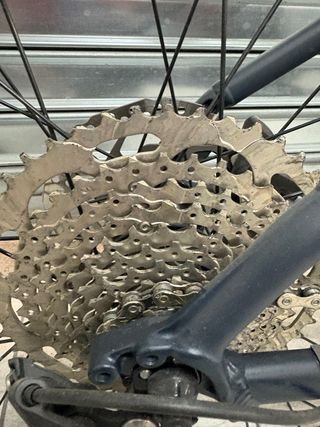 Trek Marlin 7 