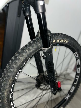 Mondraker crafty R carbon talla M