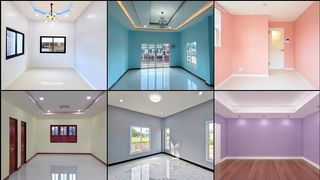 Pintor oficial . SE PINTAN CASAS