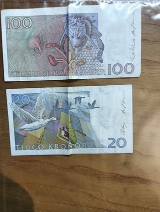 2 banconote svedesi da collezione – 100 e 20 SEK –