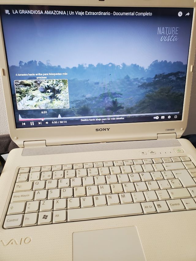 Sony vaio PCG-716M  VGN-NS31M 