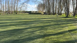 Limpiezas y desbroces de solares