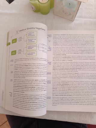 RUFFALDI LA RETE DEL PENSIERO V.3 SHOPENHAUER