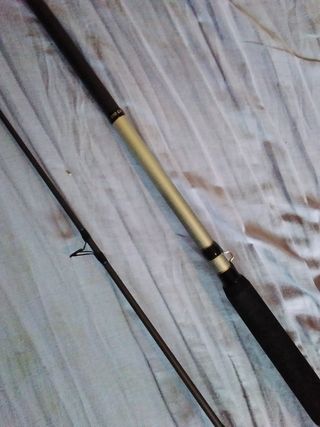 CAÑA DE PESCA 