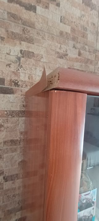 Mueble salón más vitrina 