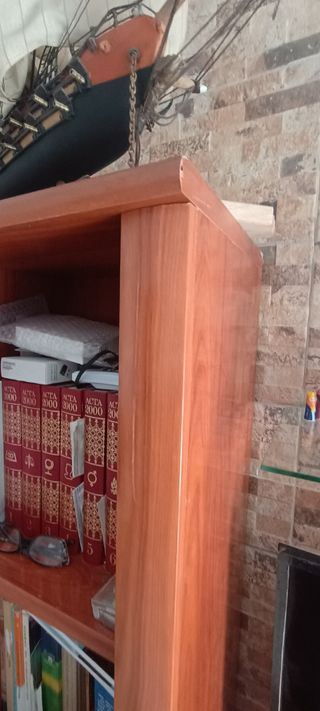 Mueble salón más vitrina 