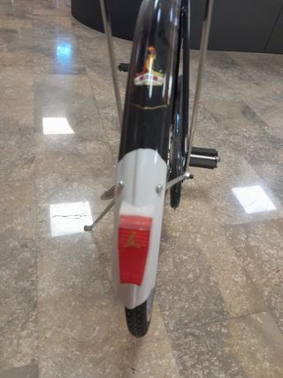 Bicicleta clásica chiná de mujer