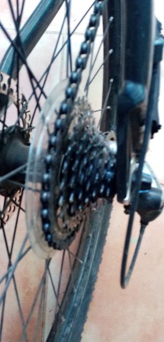 Orbea oferta solo hoy...