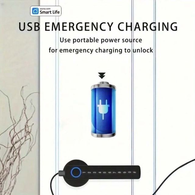 Serratura Intelligente Smart Life Impronta NFC App