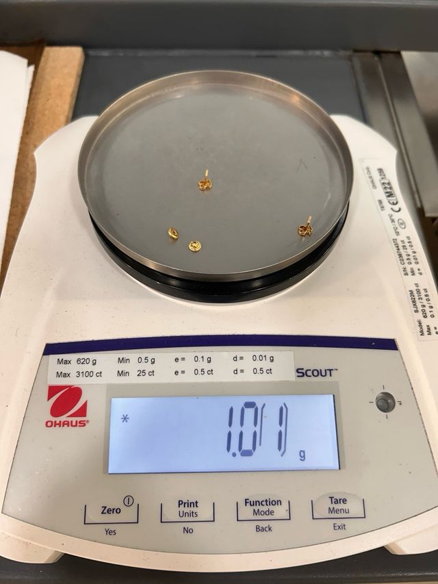 Pendientes Osito de 18kt