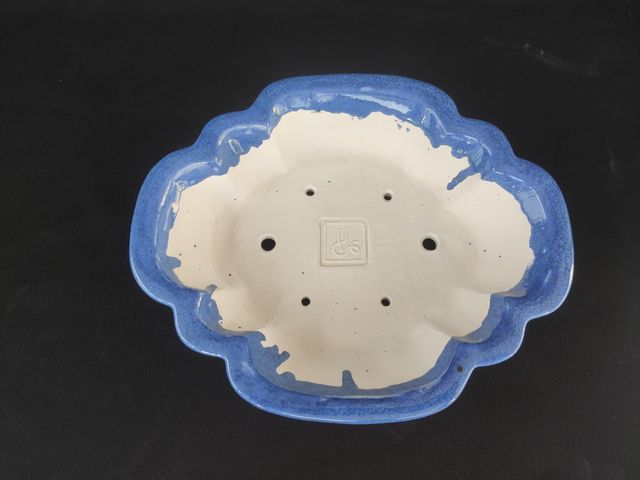 Maceta flor de loto bonsai