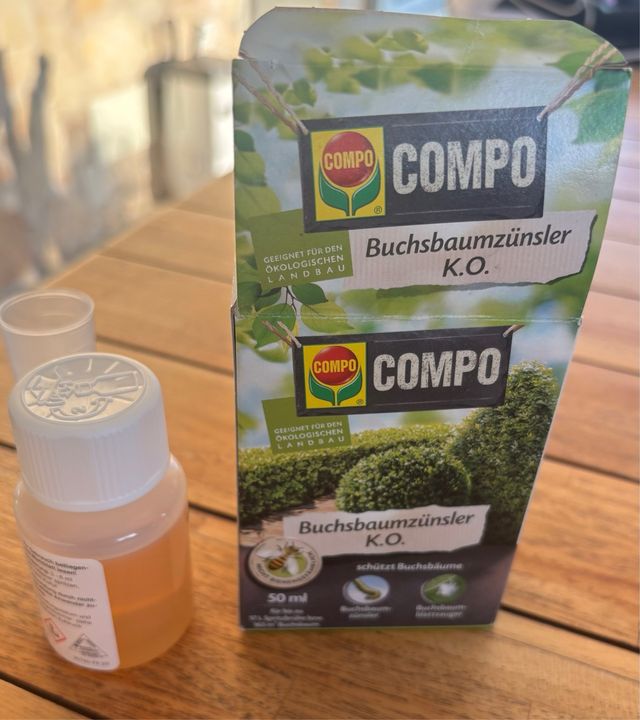 Compo Crisalide del Bosso K.O.