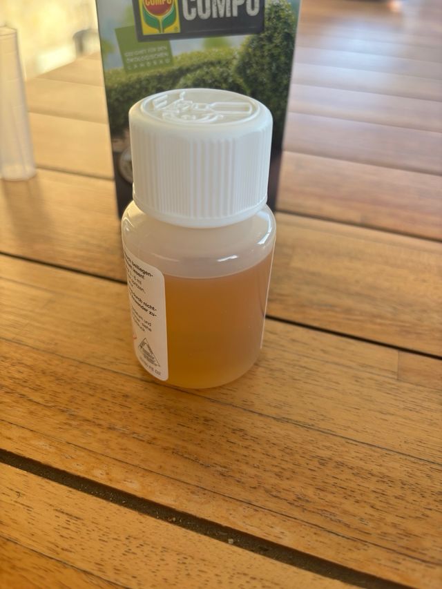 Compo Crisalide del Bosso K.O.