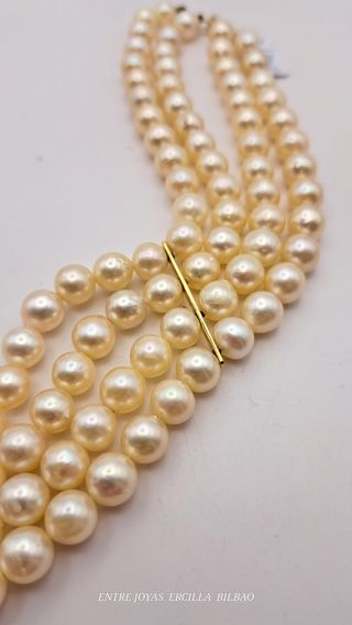 Choker perlas oro 18k