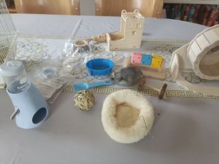 Jaula y accesorios hamster 