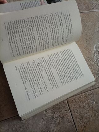 Revolución: Una novela