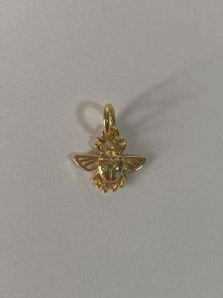 Charm Escarabajo de Aladín