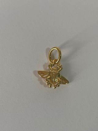 Charm Escarabajo de Aladín