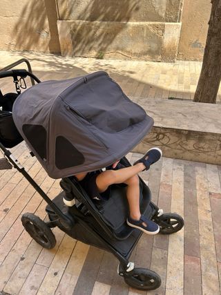 Bugaboo fox estelar