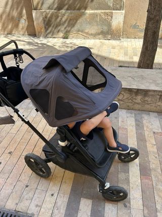Bugaboo fox estelar