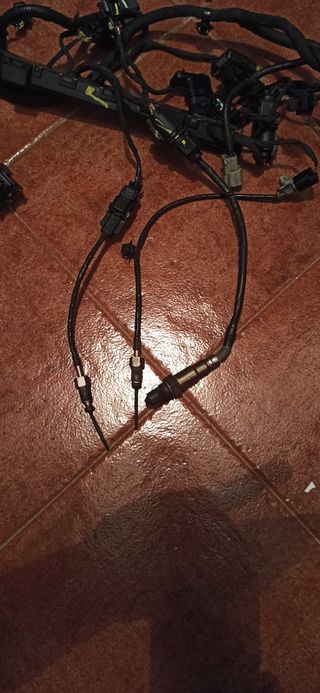 Despiece motor Kia Carens