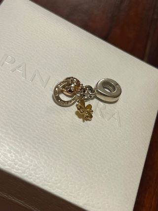 Charm pandora