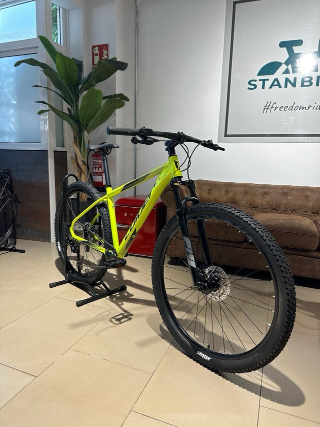 Coluer 29 Deore talla M