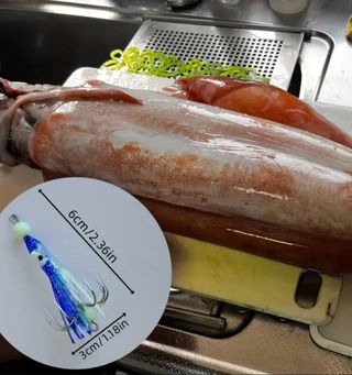 Lote de jig de calamar luminoso