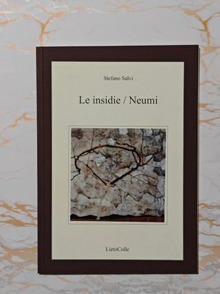 Le insidie Neumi di Stefano Salvi, raro