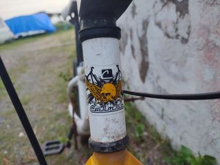 Bicicleta bmx