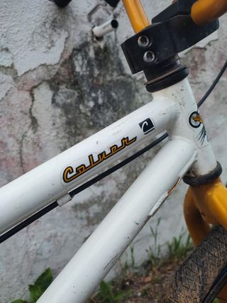 Bicicleta bmx