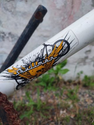 Bicicleta bmx