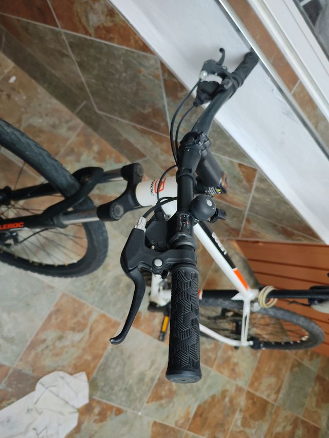 Bicicleta de montaña Leroy Lidl